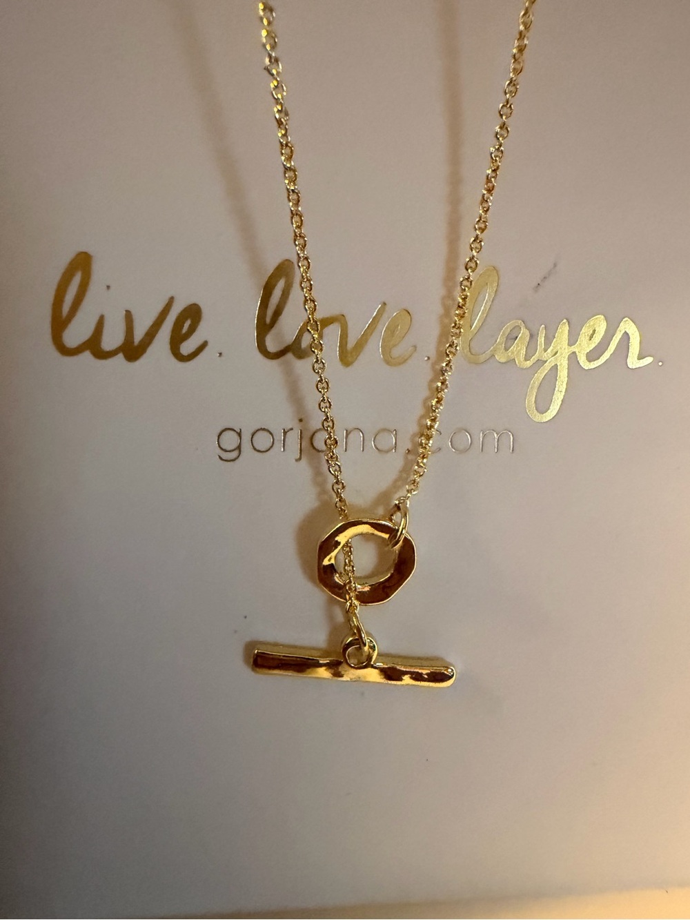 Gorjana Gold Toggle Bar Necklace with Polished Chain